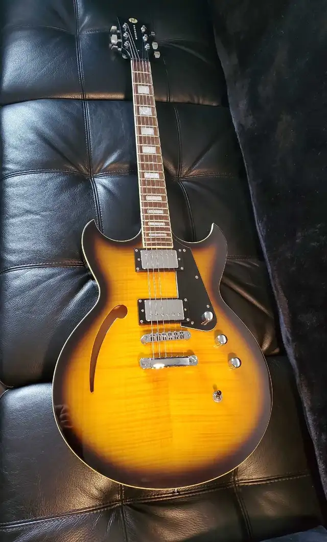 Reverend Manta Ray HB - Semi-Hollow & Hard Case in Guitars in Mississauga / Peel Region - Image 2