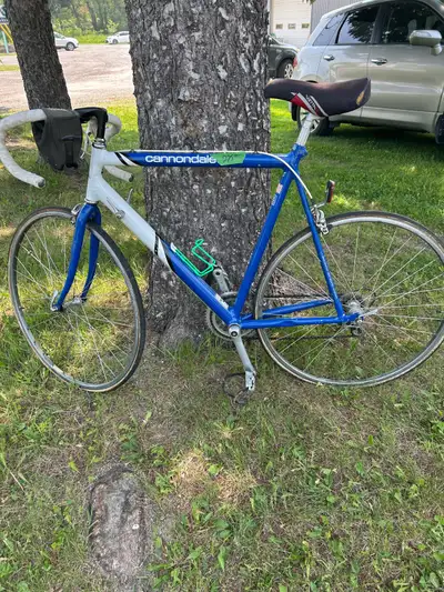 Excellent deal on vintage 1980’s road bike.