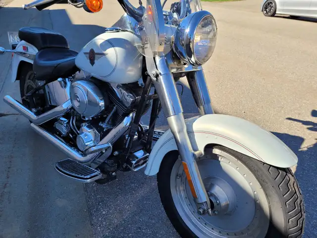 2002 HARLEY DAVIDSON FAT BOY in Street, Cruisers & Choppers in Edmonton - Image 5