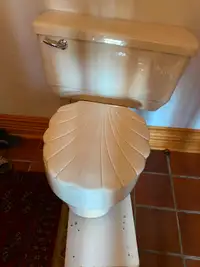 Toilette American Standard