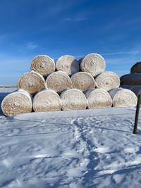 3rd Cut Alfalfa Hay