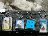 Kijiji old cheap english sheepdog