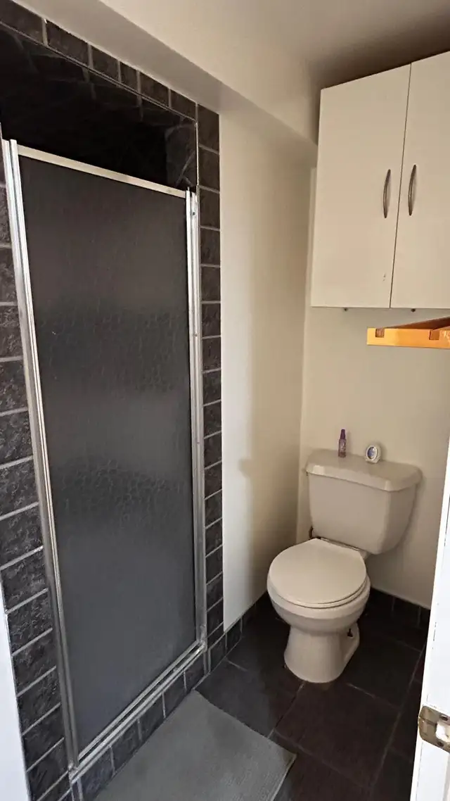 Basement Apartment for rent in Long Term Rentals in Barrie - Image 6
