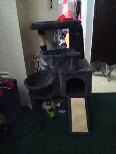 cat towers two for one must go , View more
