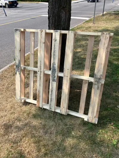 free skid outside 411 Dovercourt , View more