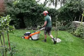 Lawn Mowing, View more