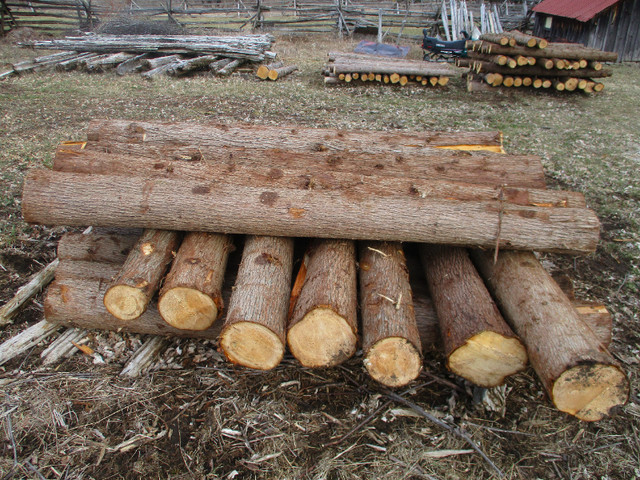 Cedar Posts for Sale in Decks & Fences in Cornwall - Image 3
