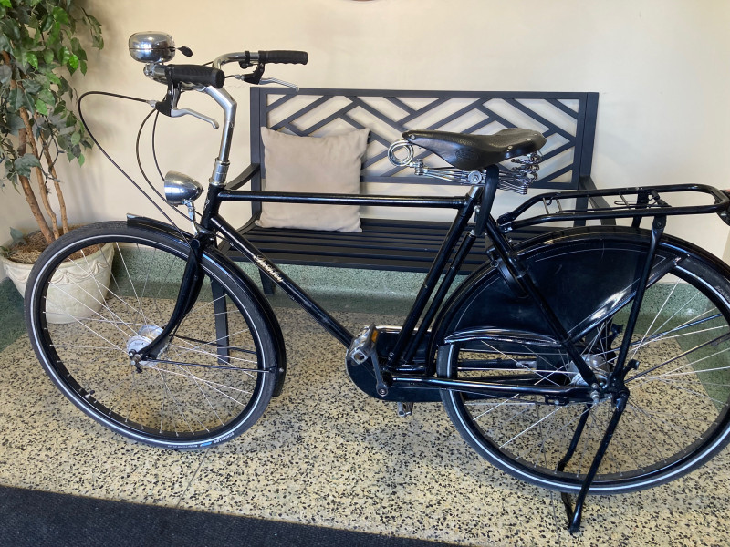 pashley mens bike