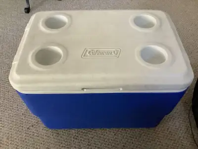 Insulated Cooler, View more