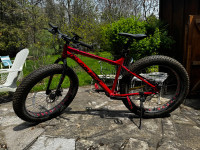 Raleigh 26” Fat Tire Mountain Bike