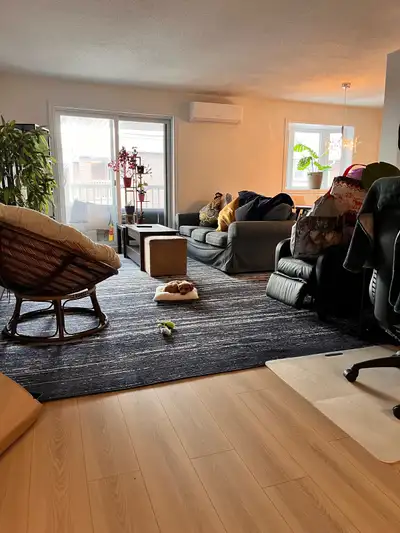 magnifique condo 4 1/2 droit aux chiens