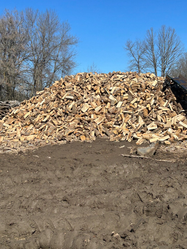 Firewood for sale in Other in Belleville