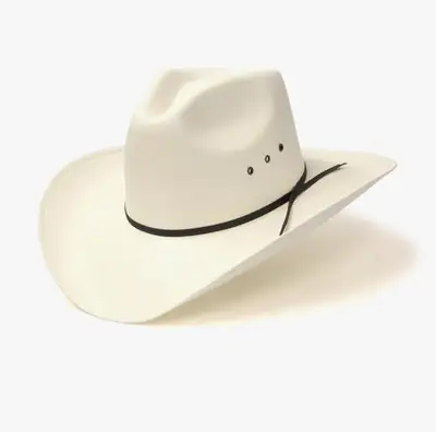 Western Express Pinch Front Stampede Rodeo Cowboy Cowgirl Hat, View more