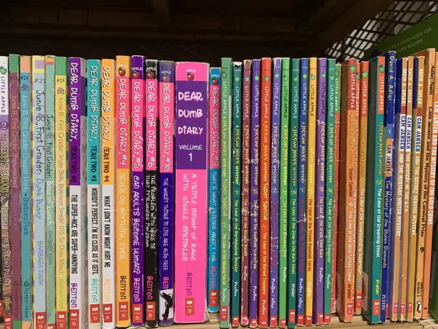 Children's Novels and Chapter Books, Over 100! in Children & Young Adult in Kingston - Image 6