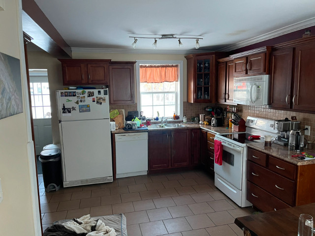 Room for Rent in historic Townsite, Corner Brook in Room Rentals & Roommates in Corner Brook - Image 3