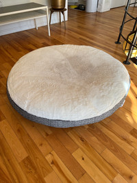 Medium-large dog bed, gently used. 