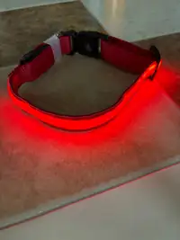 Dog Collar LED - Excellent Condition 