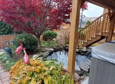Rental unit east side of Guelph 10 minutes from the university