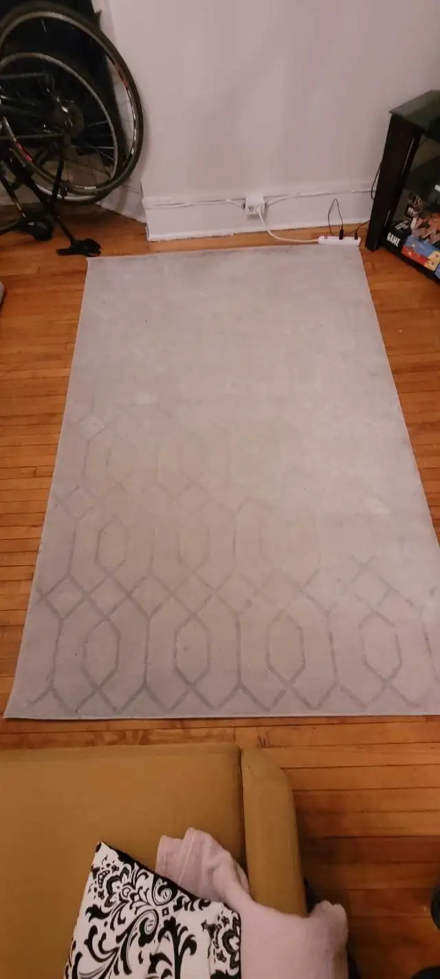 Area Rug 5ft 2" X 8ft in Rugs, Carpets & Runners in Ottawa - Image 4