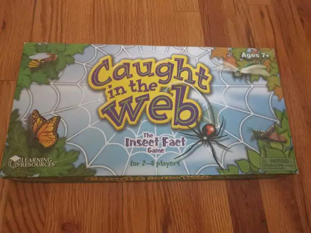 Caught in the Web Insect Fact Game Learning Resources 2007