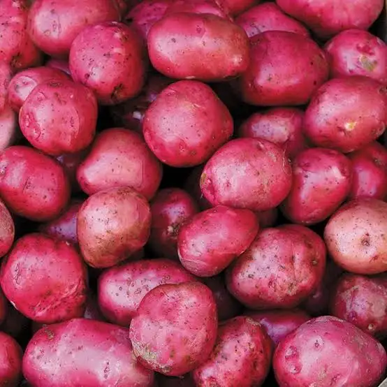 Potatoes for sale