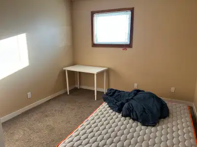 One bedroom for rent, $600/month before utilities, a shared bathroom with another person.