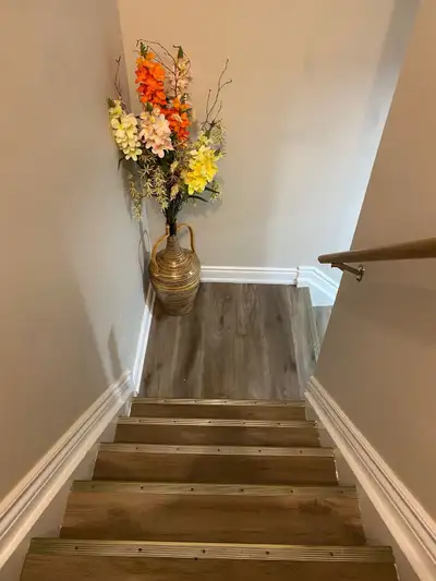 Basement 2 bedrooms one bathroom