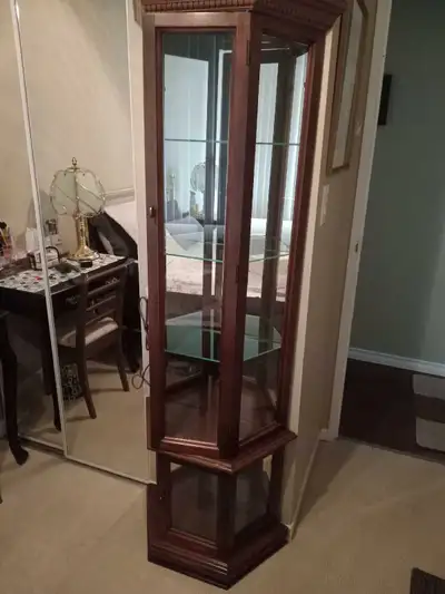 cabinet with 6 glass shelf and and light smoke free  , View more