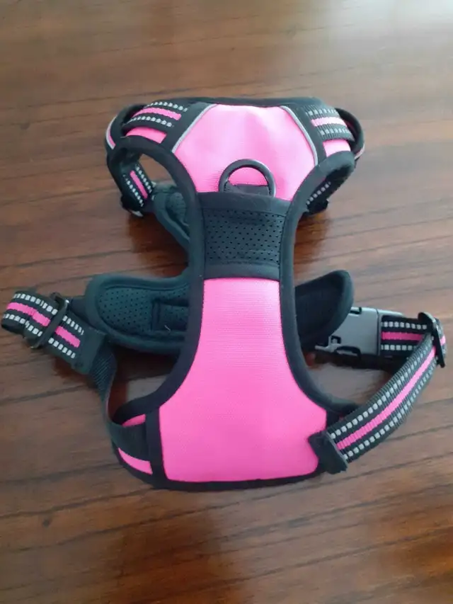 Dog Harness63006660372481121