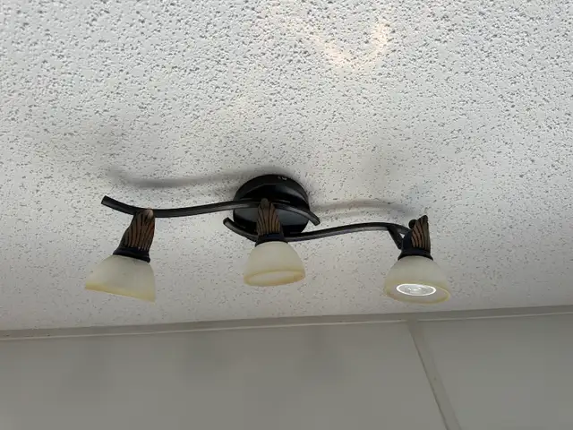 3-Light Curved Track Ceiling Light534824152550625281