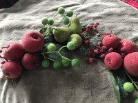  Beautiful Christmas fruit  Half - Wreaths 