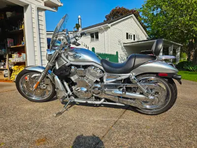 2003 HD V-Rod. 100 Anniversary edition. Showroom condition. Extra chrome,Porsche H D engine, new tir...