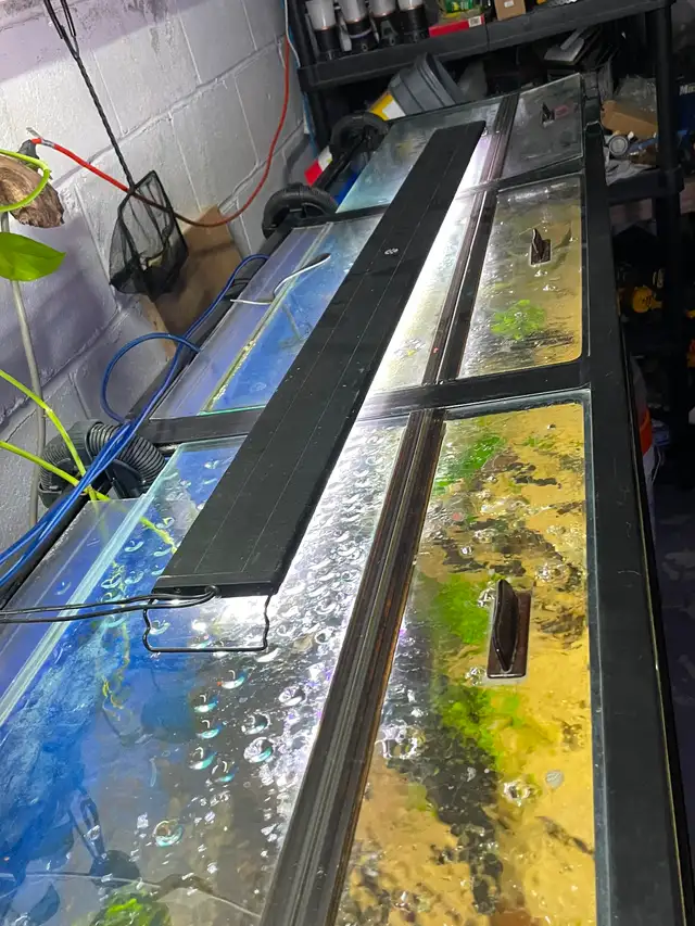 135 gallon aquarium in Accessories in Mississauga / Peel Region - Image 3