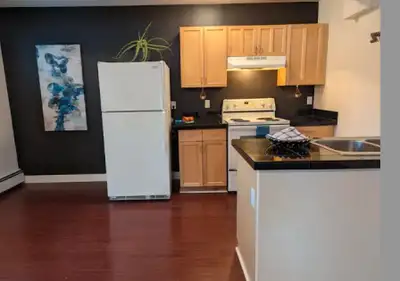 Spacious, pet friendly 2 bdrm downtown condo - utilities incl