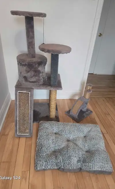 Je plusieurs accessoires à vendre presque neuf et prope et bon soin et fonctionnel *Arbre à chats 30...
