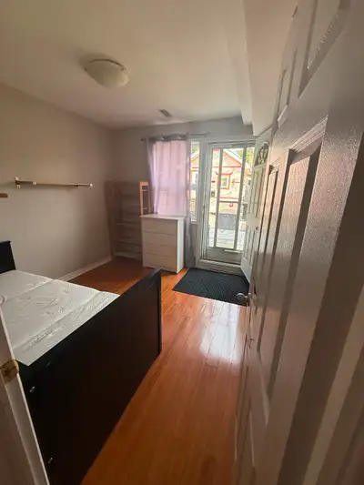 Walk out basement rooms for rent