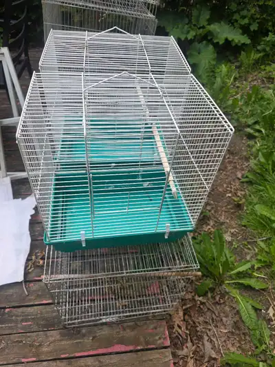 speciaux perruche et cage , View more