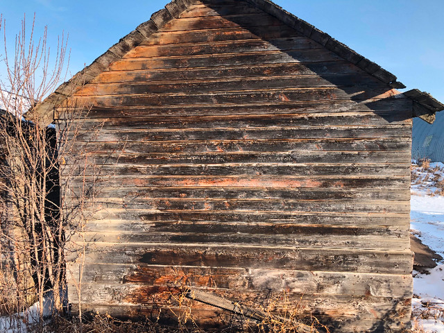 Old grain shed in Other in St. Albert - Image 2