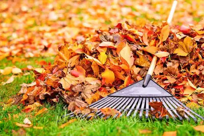 6479177102 FALL  YARD CLEANUP Last minute yard clean up, View more