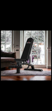 Brand New Commercial Grade Workout Bench 