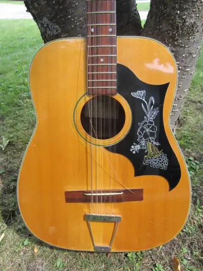 Vintage Regent W-13 12 String Acoustic Guitar 1970s, View more