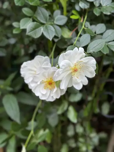 préposé aux bénéficiaires / offre mes services, View more