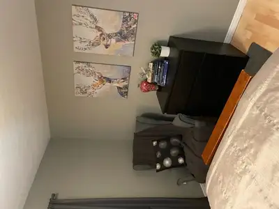 Bright Shared Furnished Apt & Room   | $1,000/Month, View more