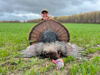Fully guided Ontario Wild Turkey hunts!