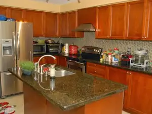 Mississauga Furnished Room Rent-401/Winston Churchill/GO Station