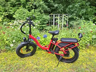 Folding E- bike, View more