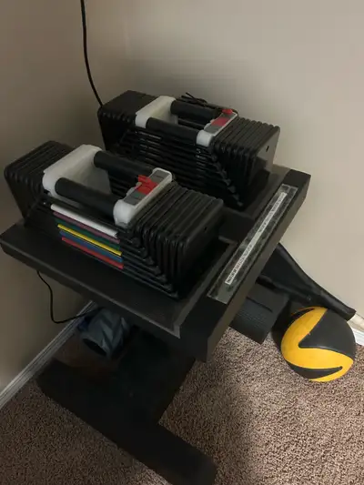 Powerblock pro dumbbells with stage 3 kit and inserts on a custom stand. Light used in great conditi...