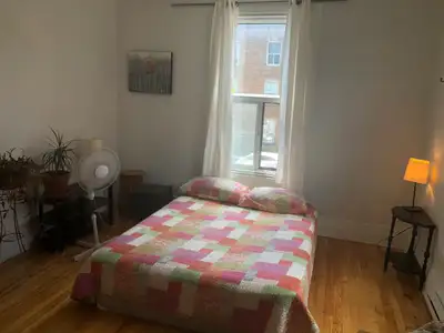 Beauté du Mile-end/ Mile-end beauty