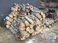 Firewood and split wood for campfires