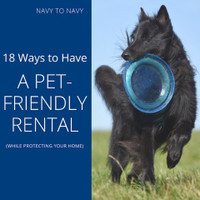 LOOKING FOR DOG FRIENDLY RENTAL
